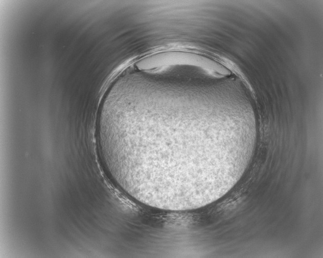 X0000055990954200509162248