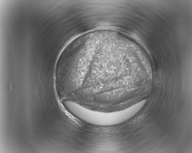 X0000055990955200509162248