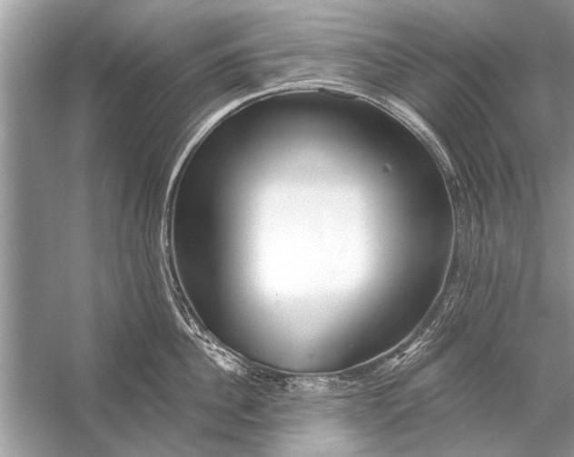 X0000055990956200509162248