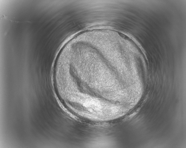 X0000055990957200509162248