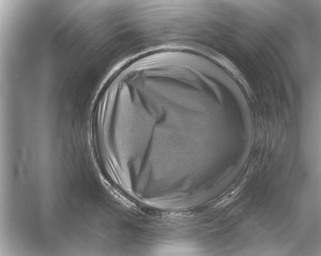 X0000055990958200509162248