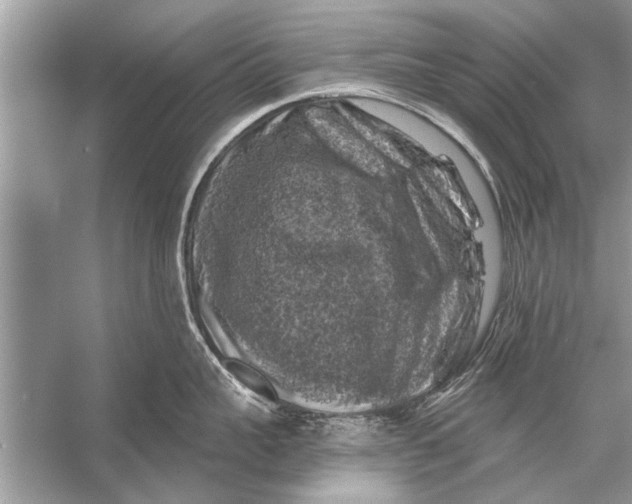 X0000055990959200509162248