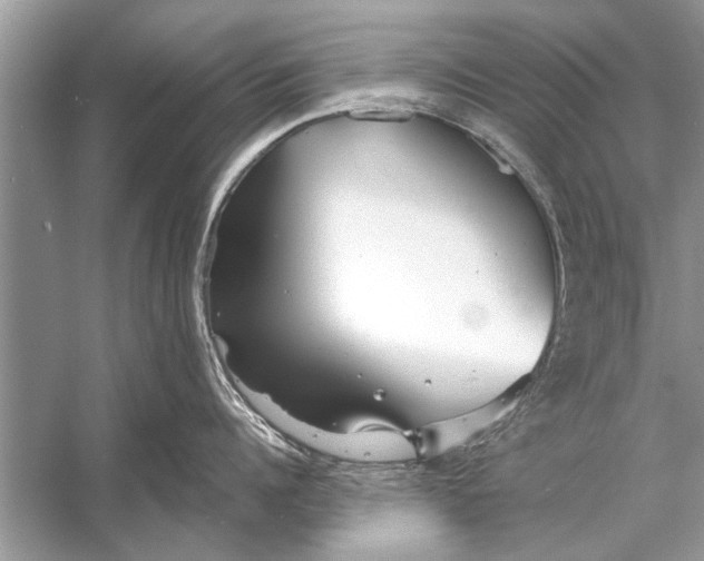 X0000055990960200509162248