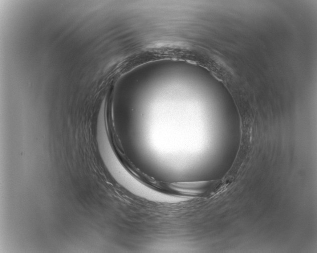 X0000055990965200509162247