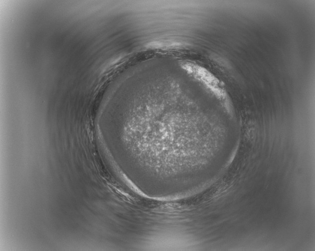 X0000055990966200509162247