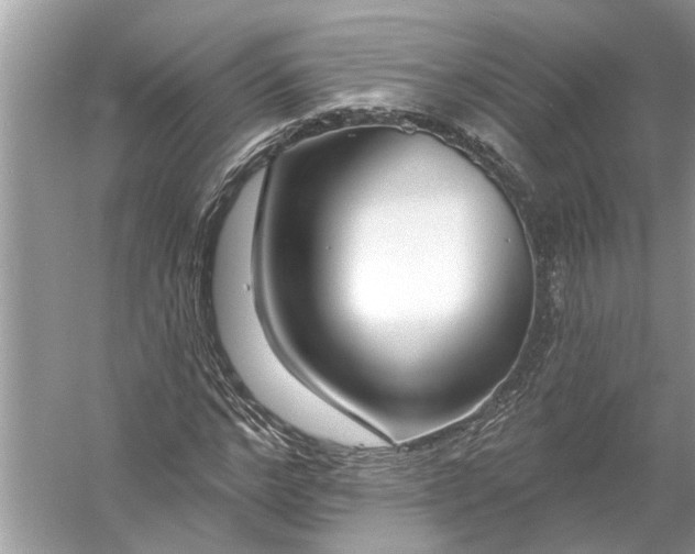 X0000055990968200509162247