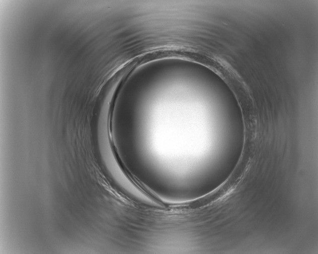 X0000055990969200509162247