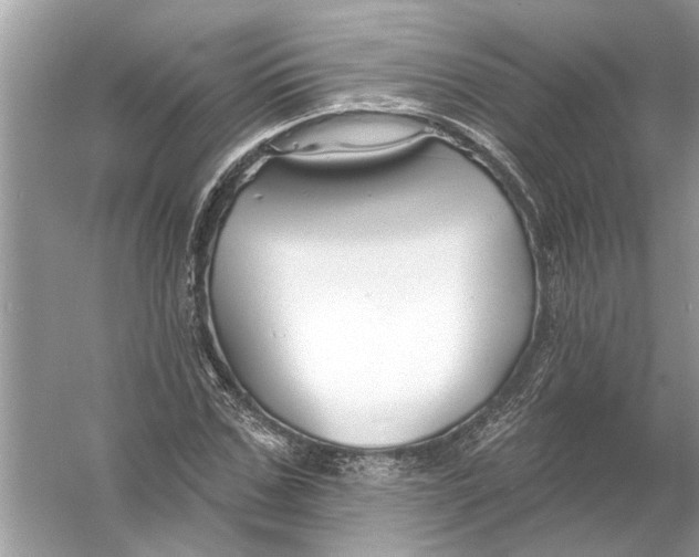 X0000055990971200509162247