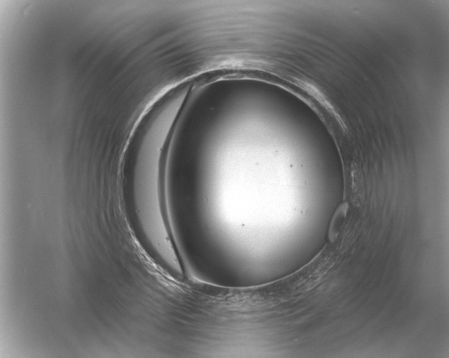 X0000055990972200509162247