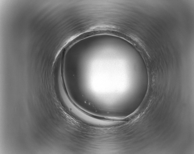 X0000055990973200509162247