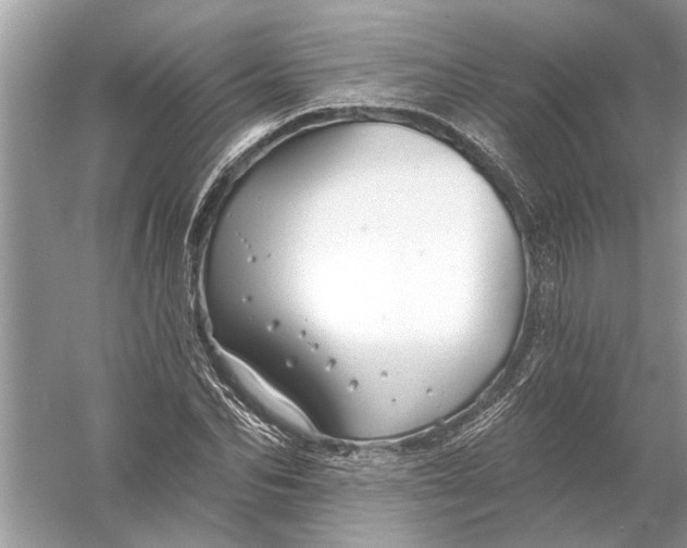 X0000055990974200509162247