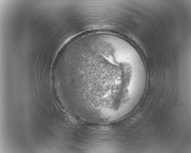 X0000055990975200509162247