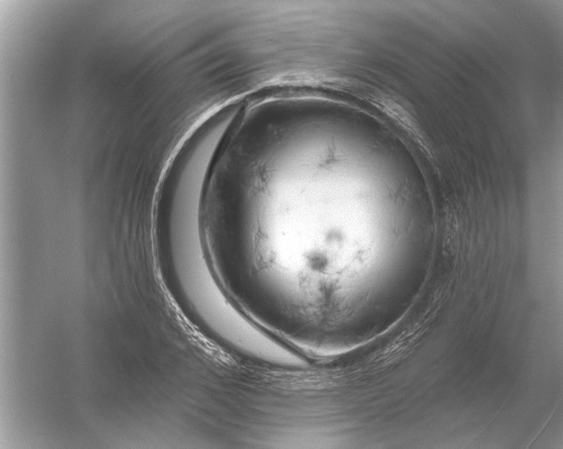 X0000055990976200509162247