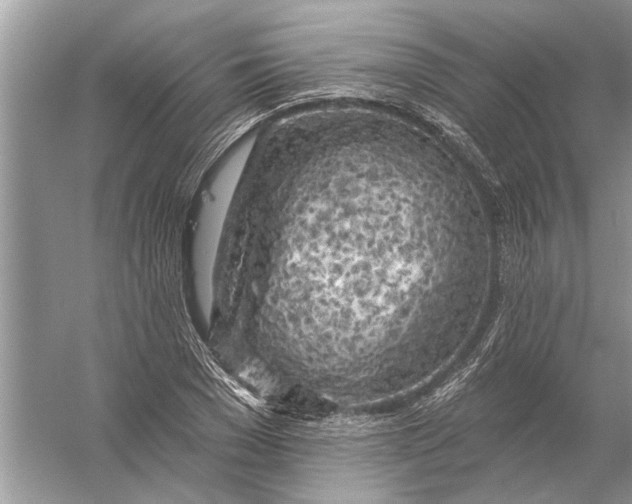 X0000055990977200509162247