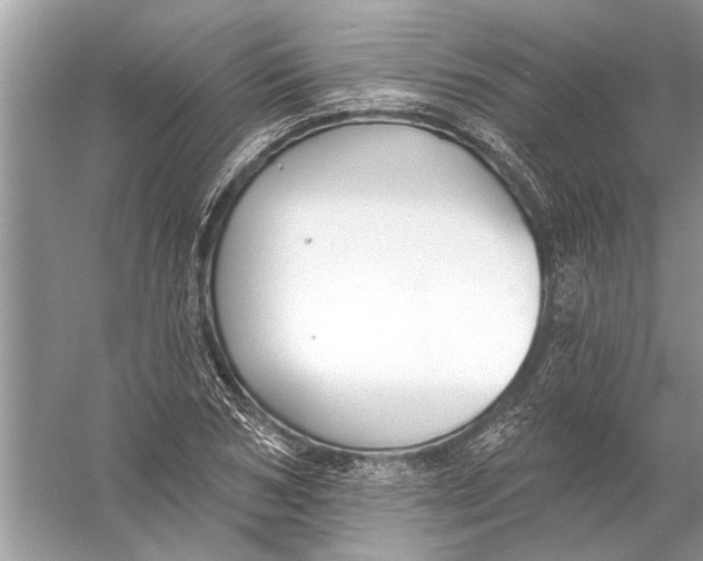 X0000055990978200509162247