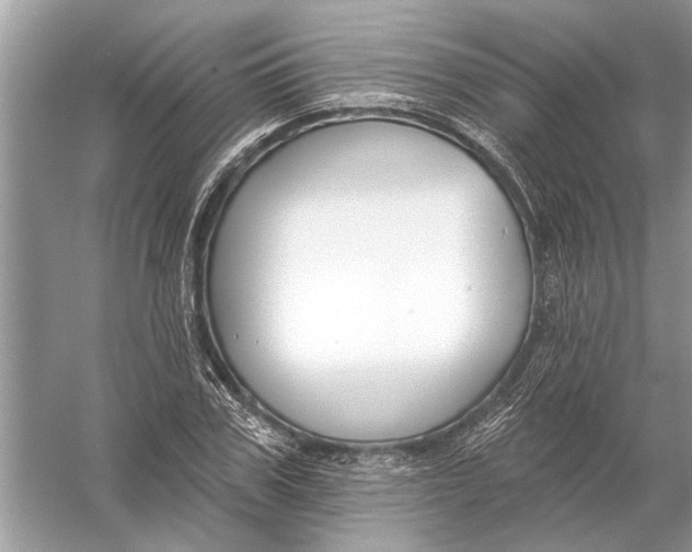 X0000055990979200509162247