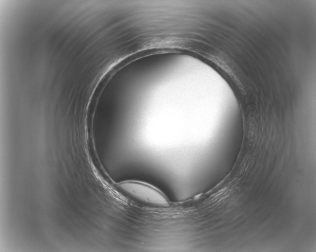 X0000055990980200509162247