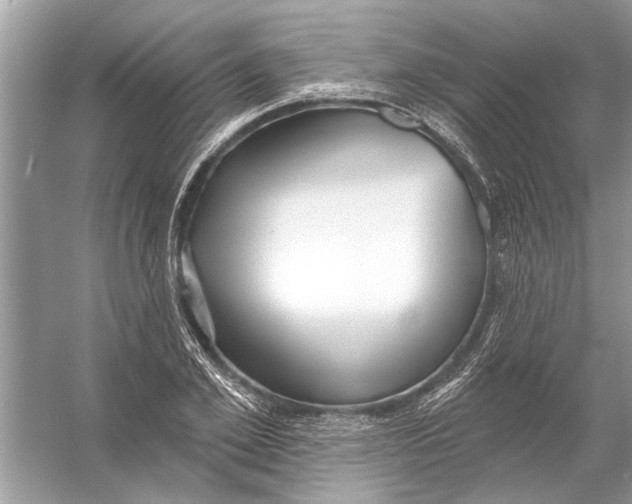 X0000055990981200509162247