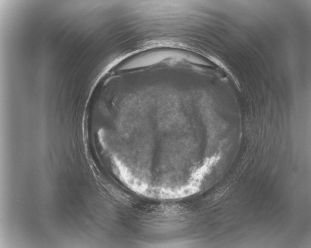 X0000055990983200509162247