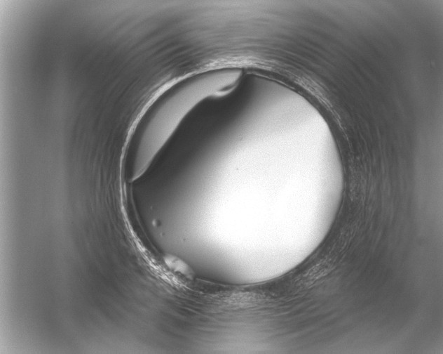 X0000055990984200509162247