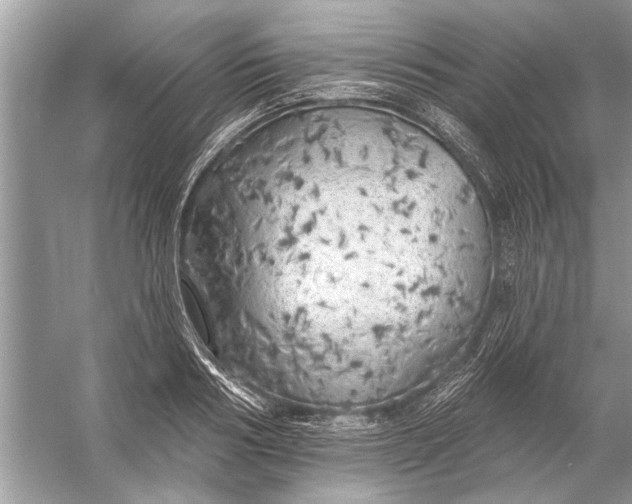 X0000055990986200509162247