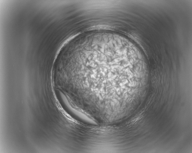 X0000055990987200509162247