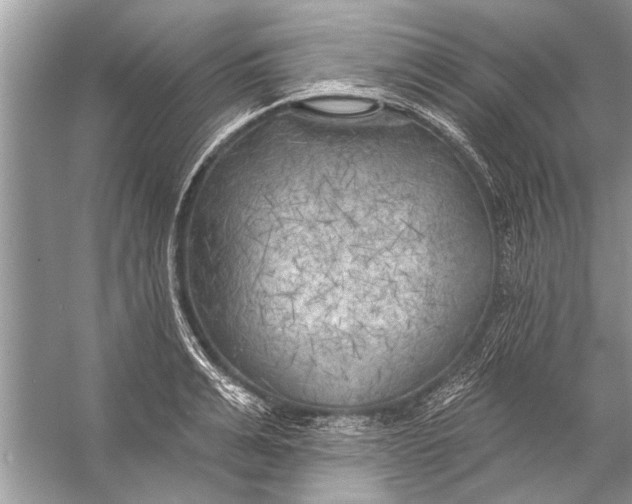 X0000055990991200509162247