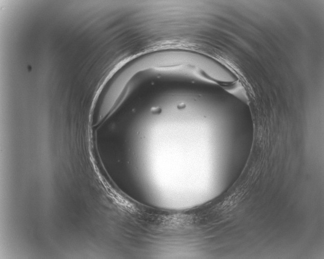 X0000055990992200509162247