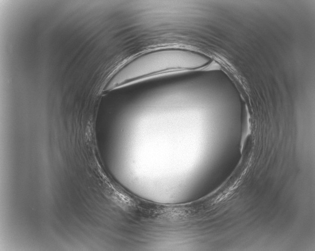 X0000055990993200509162247