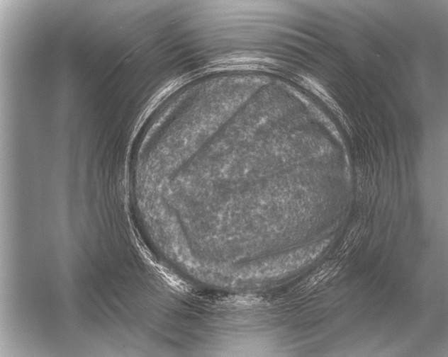 X0000055990994200509162247