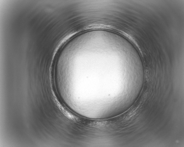 X0000055990995200509162247