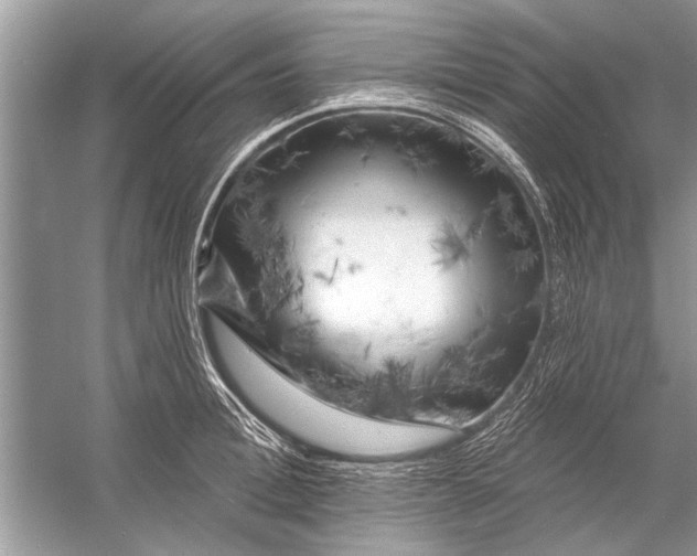 X0000055990996200509162247