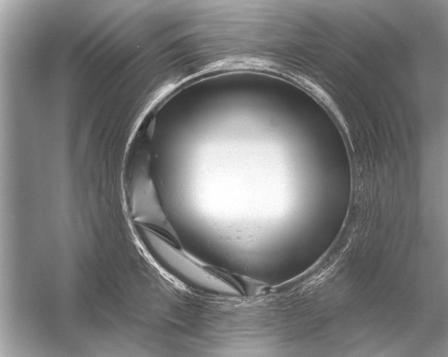 X0000055990997200509162247