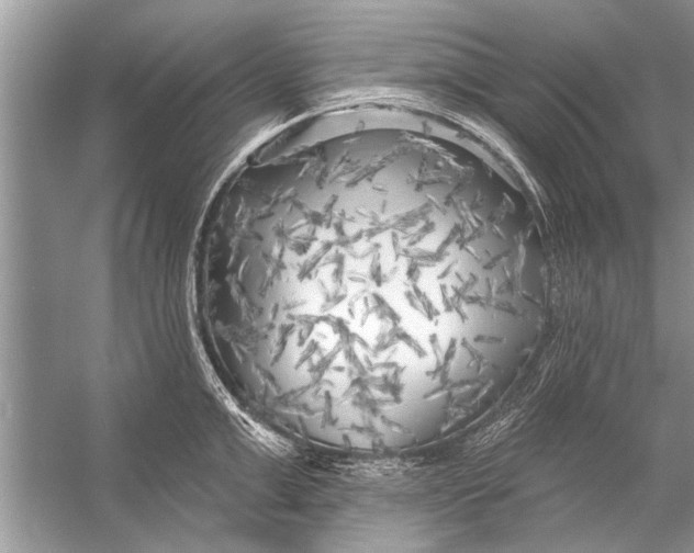 X0000055990999200509162247