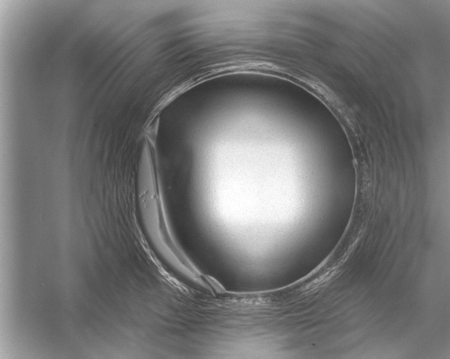 X0000055991001200509162247