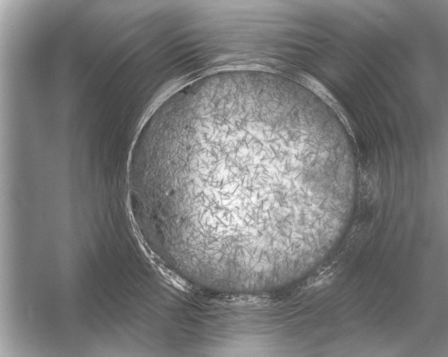 X0000055991002200509162247