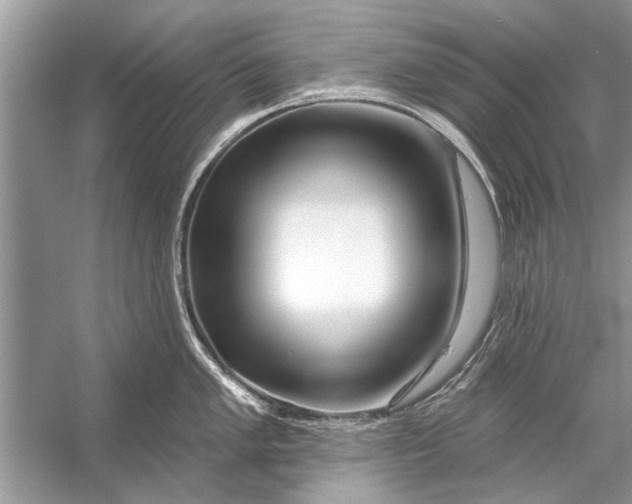 X0000055991005200509162246