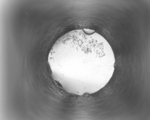 X0000055991009200509162246