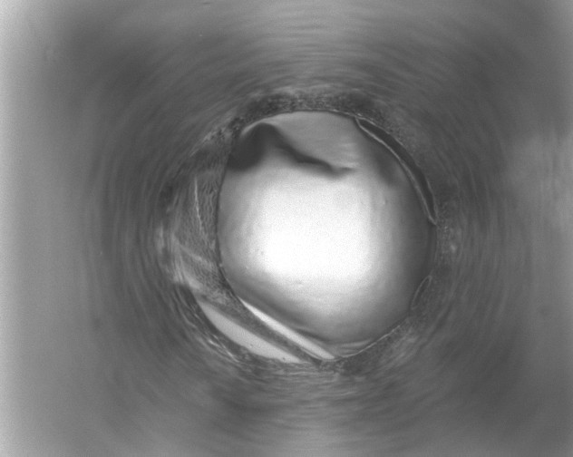 X0000055991010200509162246