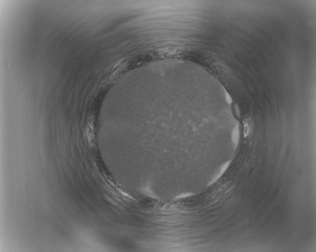 X0000055991011200509162246