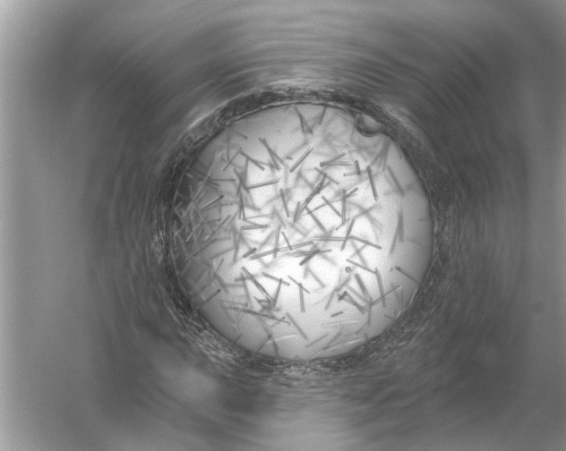 X0000055991015200509162246