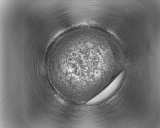 X0000055991018200509162246