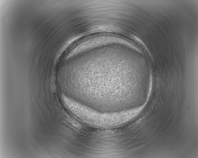 X0000055991019200509162246