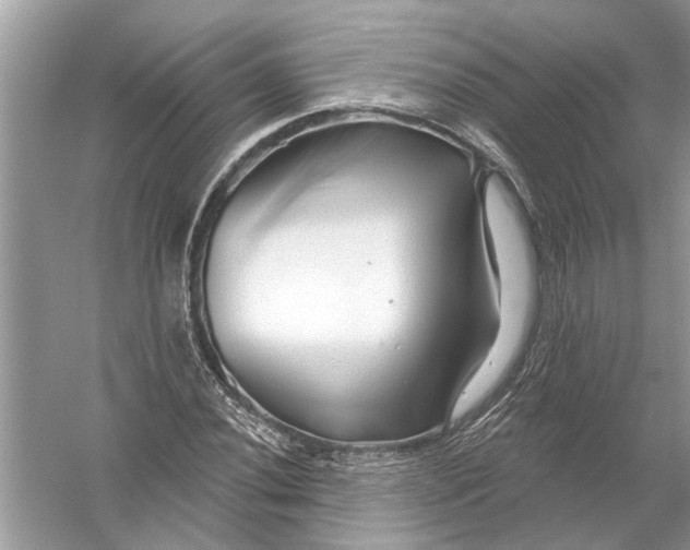 X0000055991020200509162246