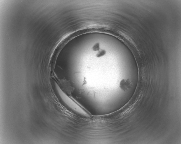 X0000055991021200509162246