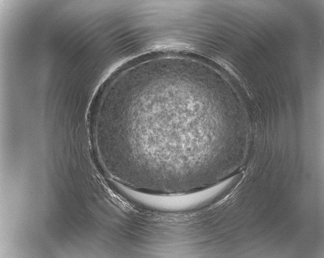 X0000055991022200509162246