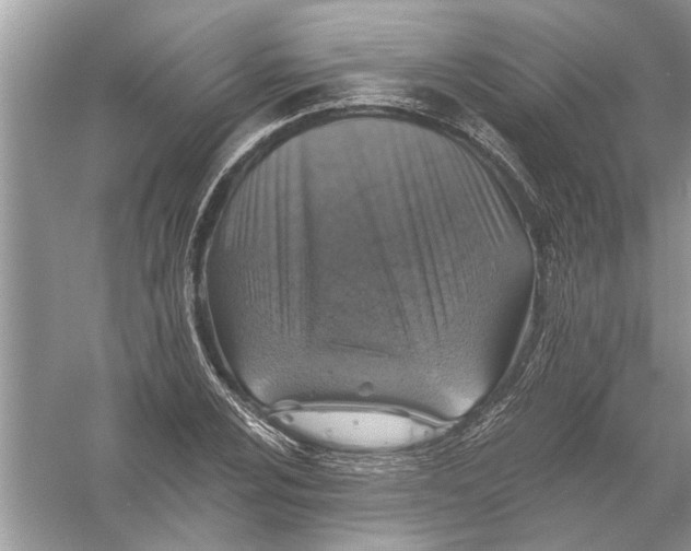 X0000055991024200509162246