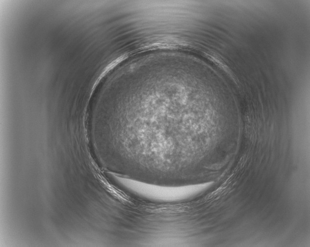 X0000055991026200509162246