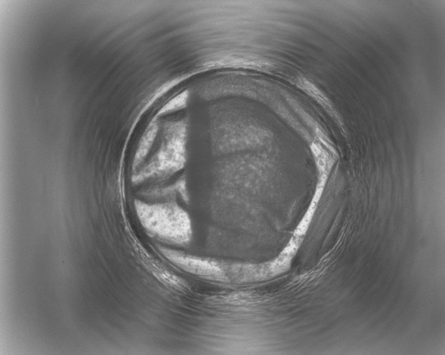 X0000055991028200509162246