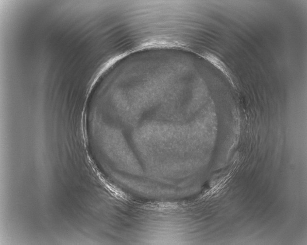 X0000055991030200509162246